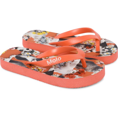 Flower Power Cats Flip-Flops in Pink